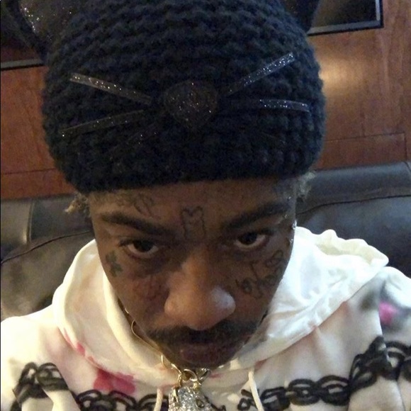 Meet your Posher, Layla - Picture 2 of 2